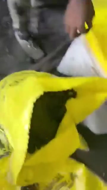 قطع الفحم النباتي ظاهرة داخل شوال أصفر أثناء التعبئة