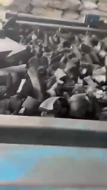 قطع الفحم النباتي على سير الفرز قبل التعبئة